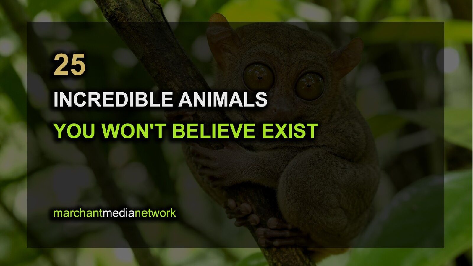 Slide 1 of 27